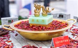 哪種毛肚好吃？火鍋店該怎么選？
